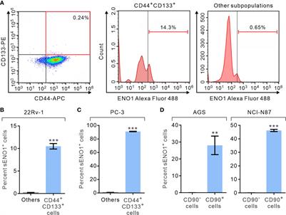 A Novel Invadopodia-Specific Marker for Invasive and Pro-Metastatic Cancer Stem Cells